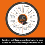 3303362.webp