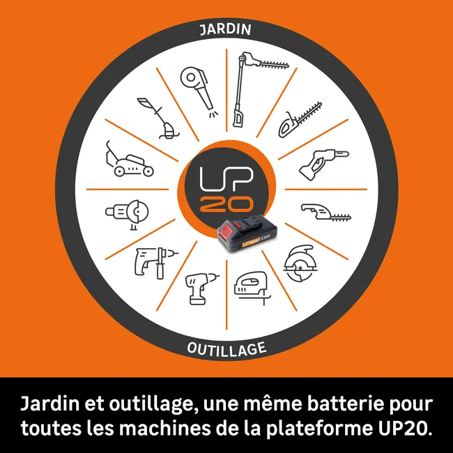 3171016.webp