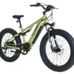 CyrusherRoverE-Bike-vert-Main.webp