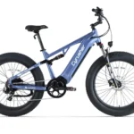 CyrusherRoverE-Bike-vert-Main.webp