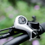 CyrusherRoverE-Bike-vert-Main.webp
