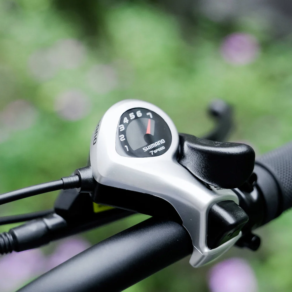 CyrusherRoverE-Bike-Green-Deatils.webp