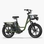 Fiido T1 Pro - Vélo électrique Fatbike Cargo