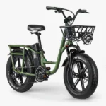 Fiido-T1-Pro-Velo-electrique-Fatbike-Cargo.webp