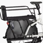 velo-cargo-electrique-riese-mueller-multicharger2-gt-family.jpg