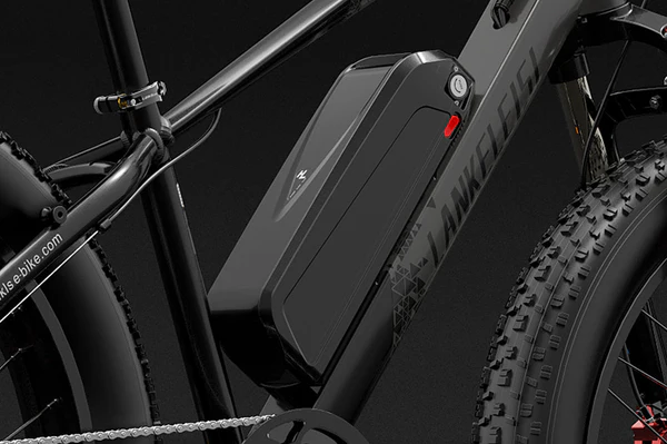 LithiumBatteryLi-ionBatterySpecialForLANKELEISIElectricBicycle-mg740.webp