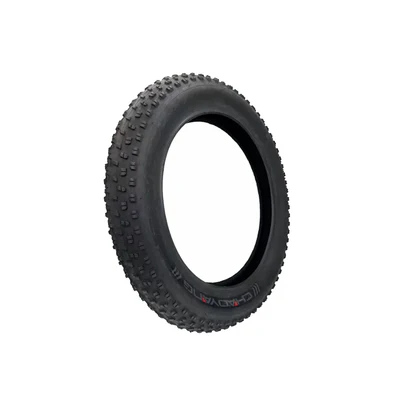 Pneu-exterieur-pour-velo-electrique-LANKELEISI-X3000-Max.webp