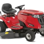 RF125.webp
