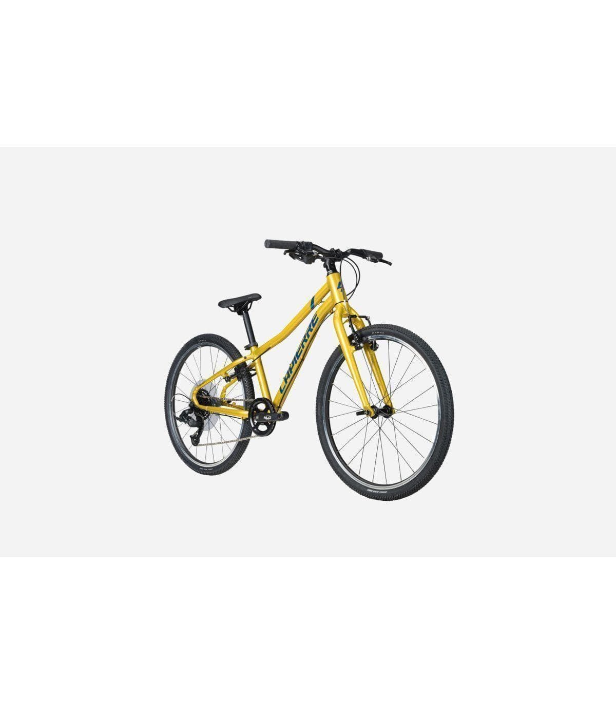 VTT-Junior-Lapierre-PRORACE-24-SL-2025-1.jpg