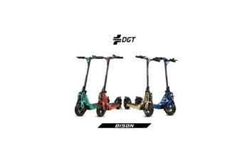 Bison 800W Trottinette électrique 10 pouces